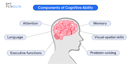 Brain Map