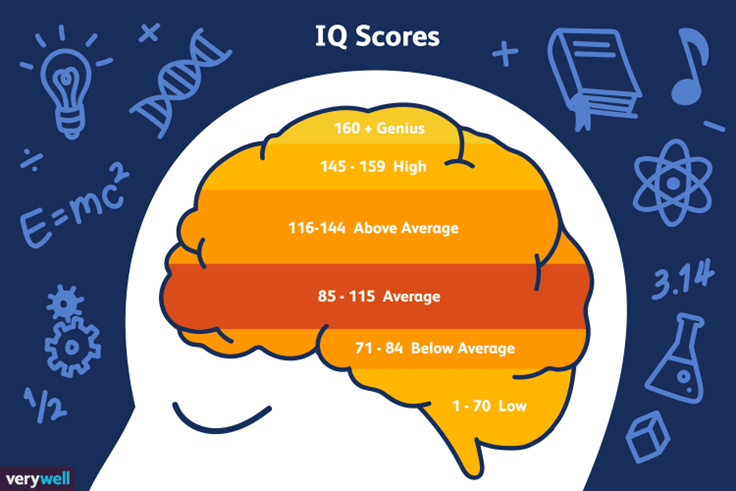 IQ Explained