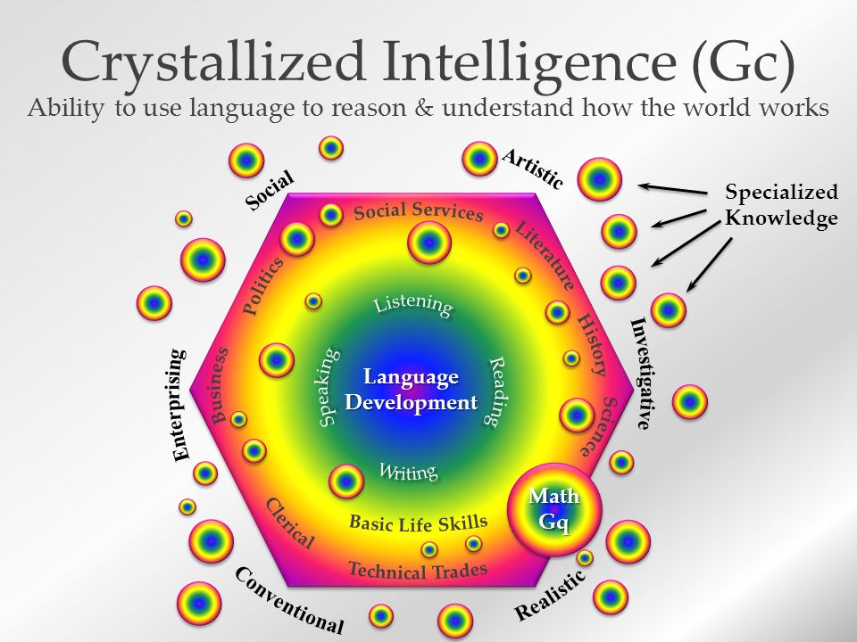 Crystallized Intelligence