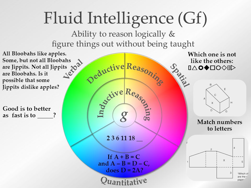 Fluid Intelligence