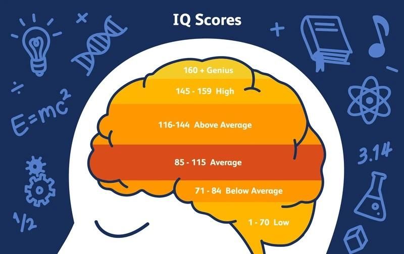 IQ Scores